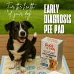 Erken Teşhis Çiş Pedi - Görsel 3